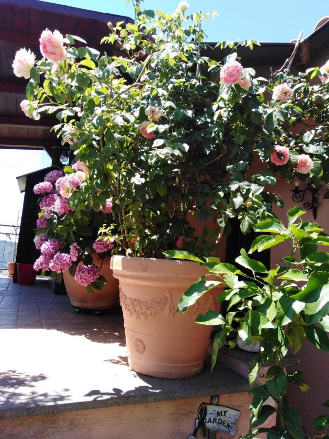 La Fenice Montefiascone Ngoại thất bức ảnh