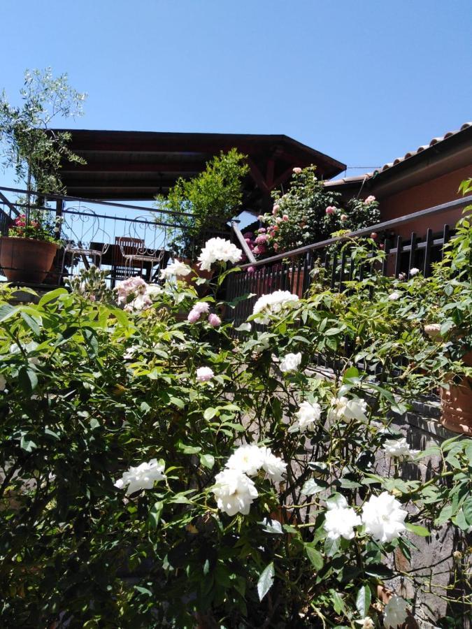 La Fenice Montefiascone Ngoại thất bức ảnh