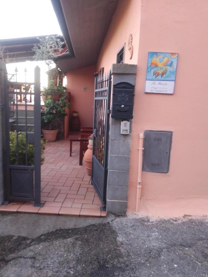 La Fenice Montefiascone Ngoại thất bức ảnh