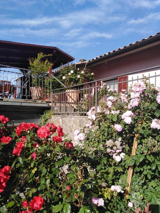 La Fenice Montefiascone Ngoại thất bức ảnh