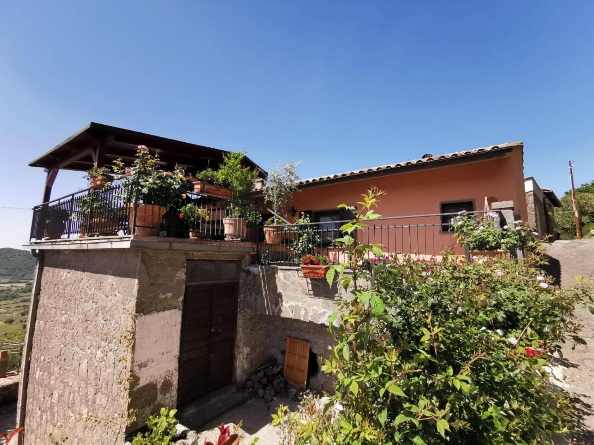 La Fenice Montefiascone Ngoại thất bức ảnh