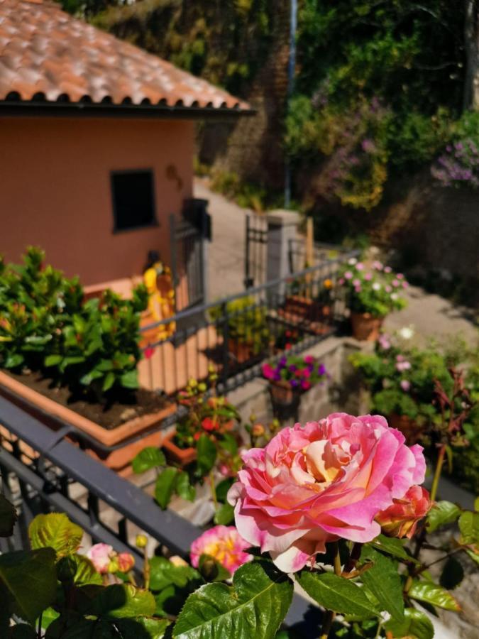 La Fenice Montefiascone Ngoại thất bức ảnh